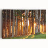 Black and white photo of San Francisco skyline on large stretched canvas, suitable for kitchen wall art.