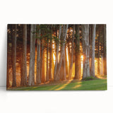 Black and white stretched canvas depicting the San Francisco skyline, ideal for kitchen wall art or bedroom ambiance.