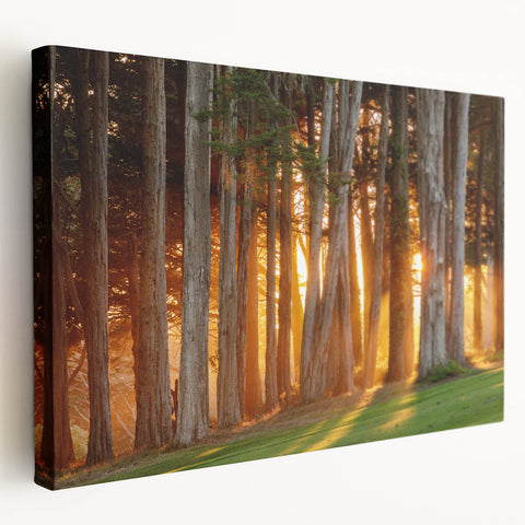 San Francisco skyline in muted gray and blue tones on a large stretched canvas, ideal for kitchen wall art.