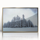 Framed acrylic print of a Colorado landscape in muted earth tones, ideal for modern art wall decor.