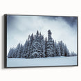 Black and white framed canvas of Vail, Colorado landscape, suitable as wall art for bedrooms.