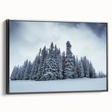 Black and white framed canvas of Vail, Colorado landscape, suitable as wall art for bedrooms.