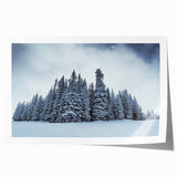 Rolled print of Vail, Colorado scenery with floral elements in soft earth tones, suitable for art wall dining room.