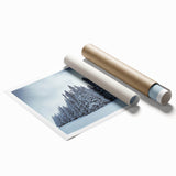 Extra large rolled print of Vail, Colorado scenery with muted earth tones, ideal for classy bathroom wall art.