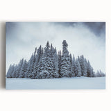 Black and white photograph of Vail, Colorado on large stretched canvas, suitable for kitchen wall art.