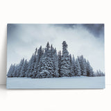 Black and white photograph of Vail, Colorado on stretched canvas, ideal for kitchen wall art.