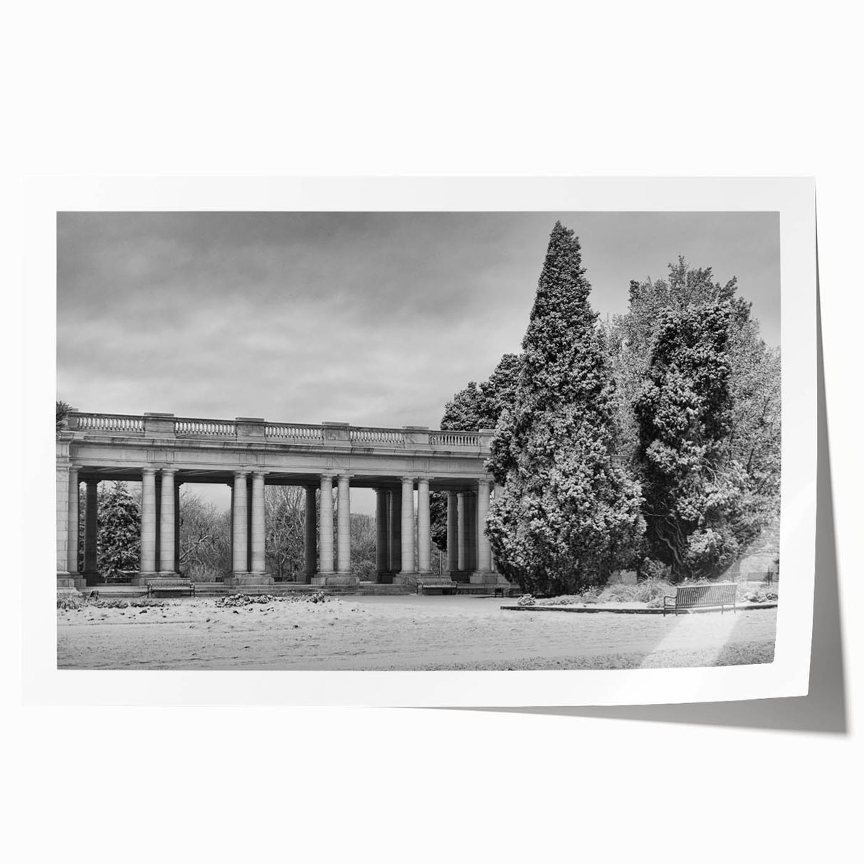 Extra large rolled print of Denver scenery, featuring pastel floral designs, ideal for art wall dining room.