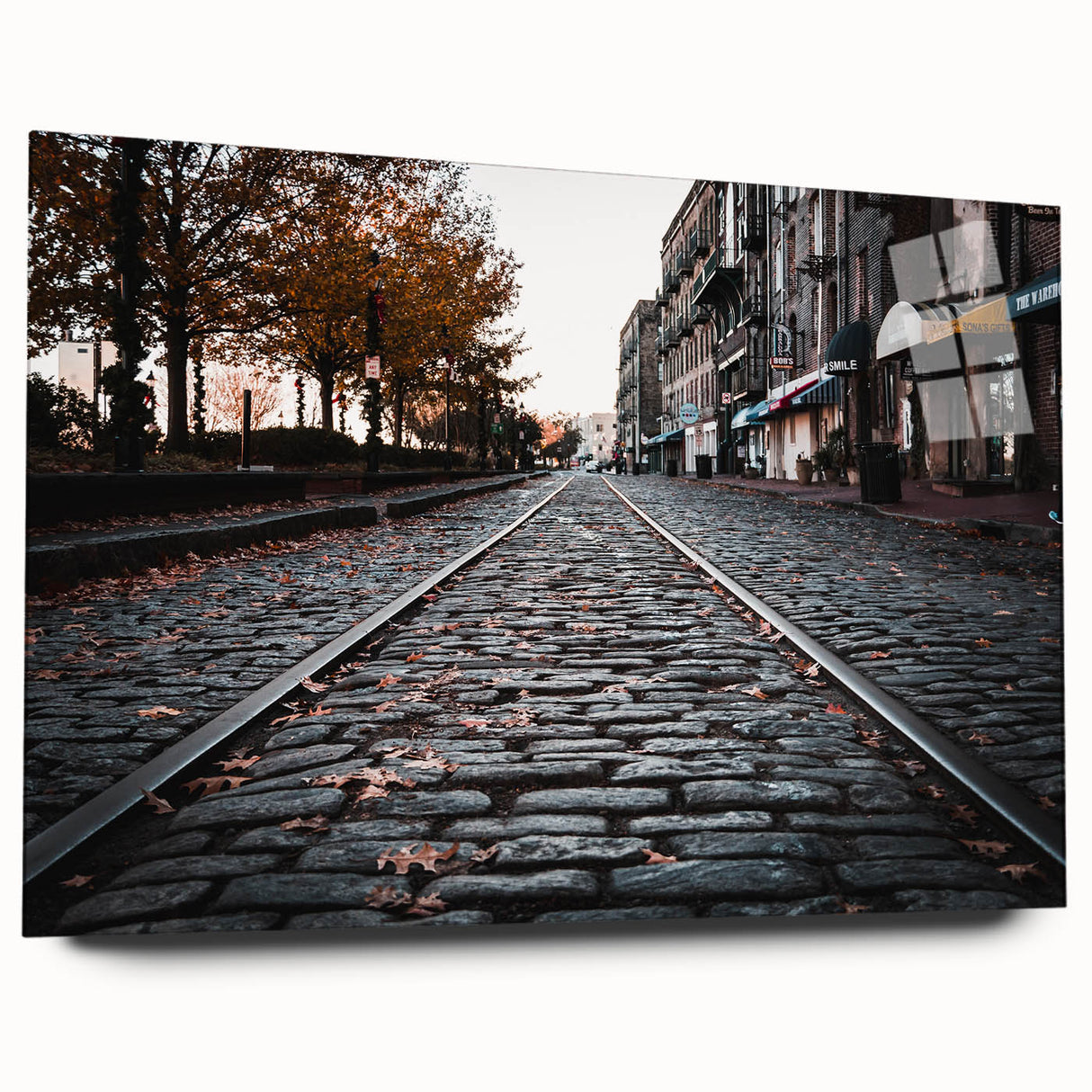 Acrylic print of Savannah landscape in muted earth tones, ideal for bedroom or dining room wall art.
