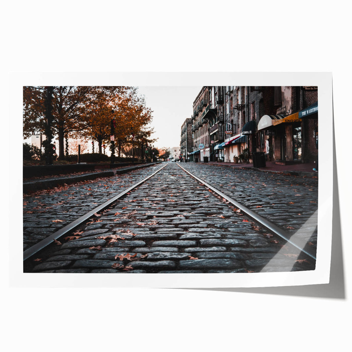 Extra large rolled print of Savannah scenery in soft pastel shades, ideal for art wall dining room or classy bathroom decor.