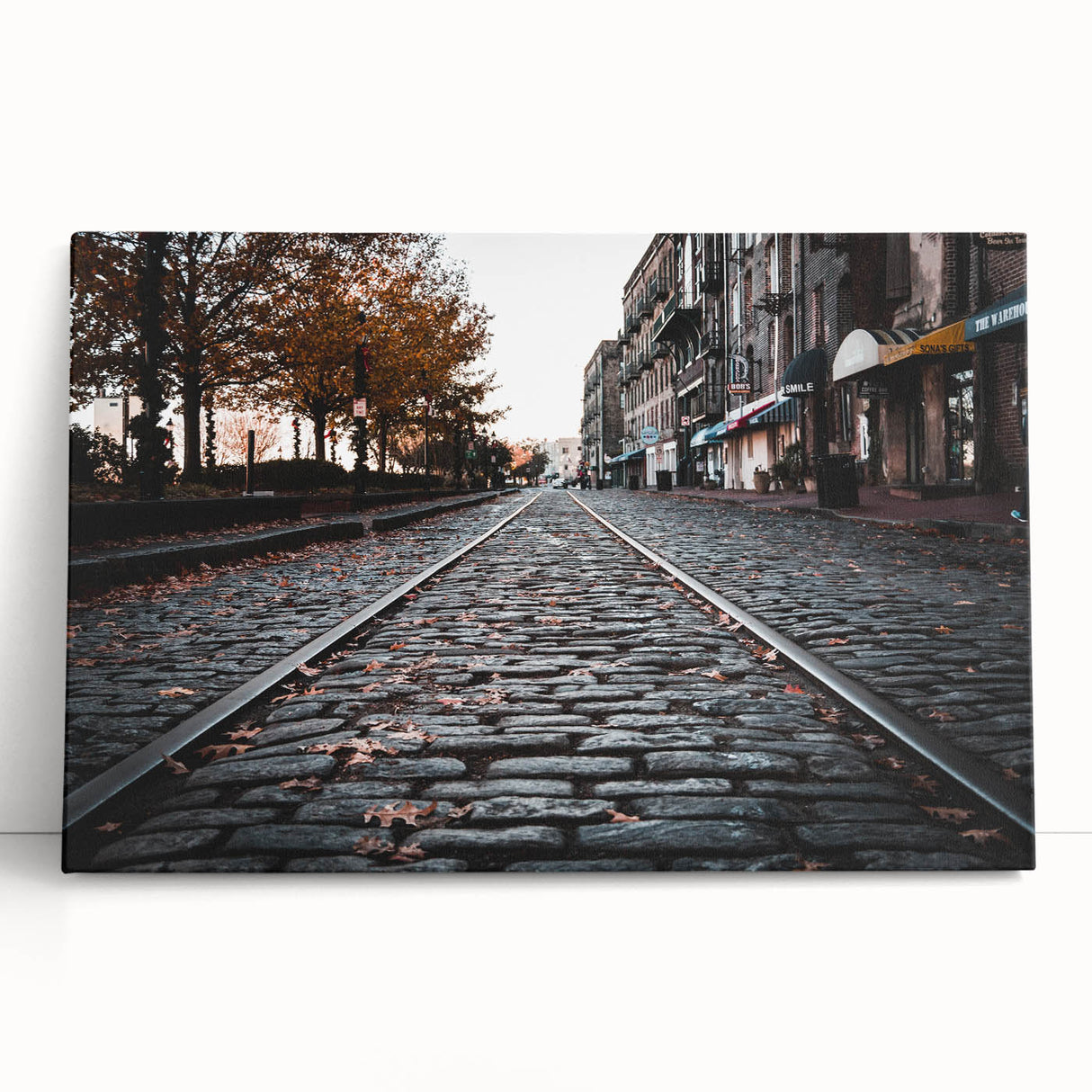 Black and white stretched canvas of Savannah, Georgia scenery, suitable as kitchen wall art or for bedroom ambiance.
