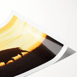 Extra large wall art featuring line art flowers in muted earth tones on a rolled print, suitable for large living room decor.