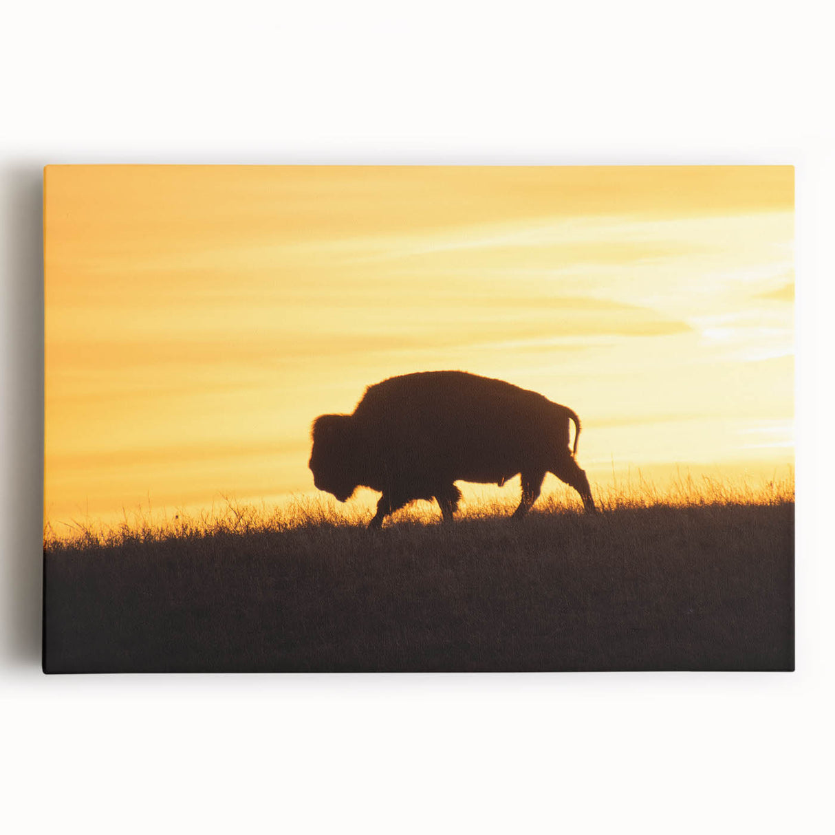 Black and white photo of a Kansas landscape on large stretched canvas, suitable for kitchen wall art.