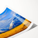 Extra large wall art featuring line art flowers in soft pastel shades on a rolled print.