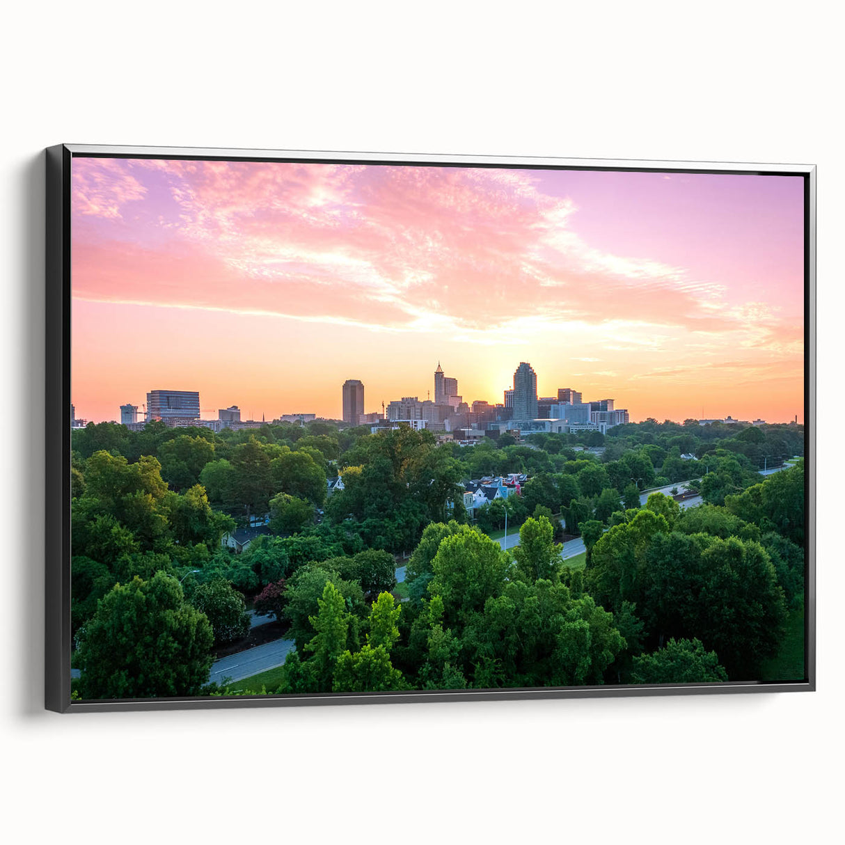 Black and white landscape art painting of Raleigh, North Carolina on framed canvas, suitable for bedroom decor.