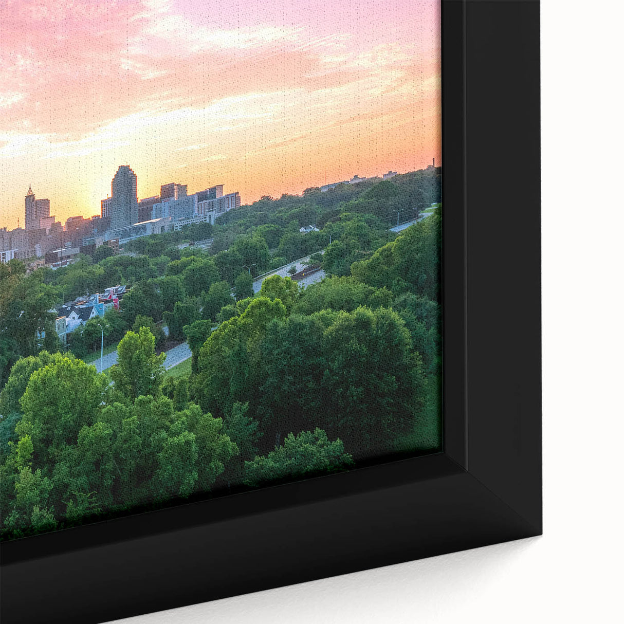 Black wall art featuring a textured close-up of Raleigh, North Carolina scenery in vibrant colors, framed on canvas.