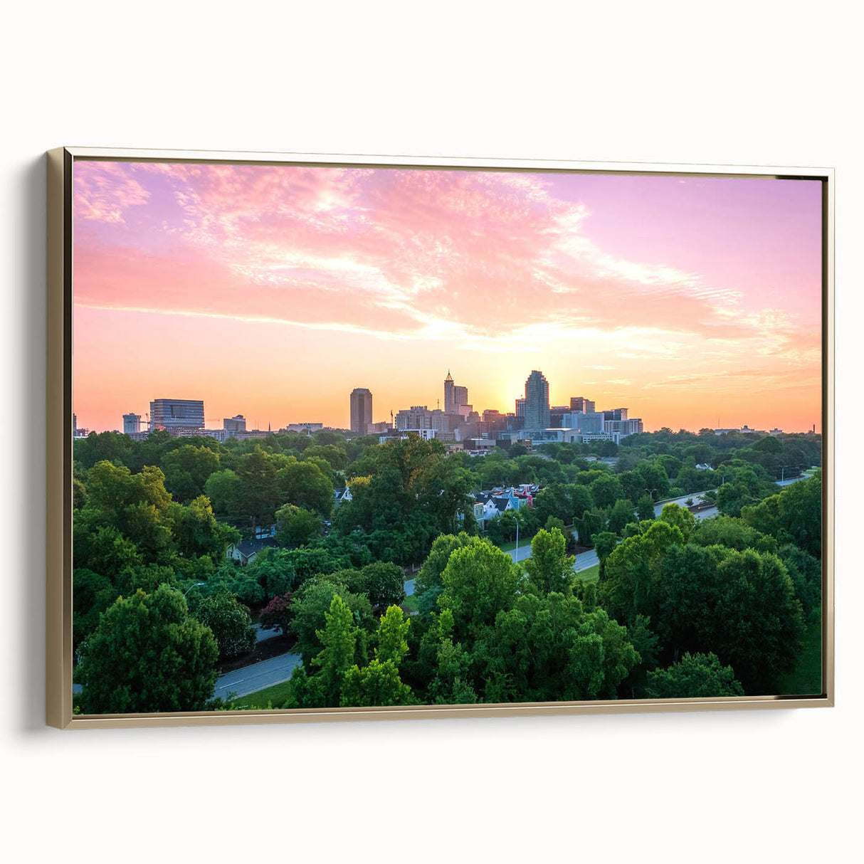 Framed canvas of Raleigh, North Carolina landscape in muted gold tones, ideal for bedroom wall art.