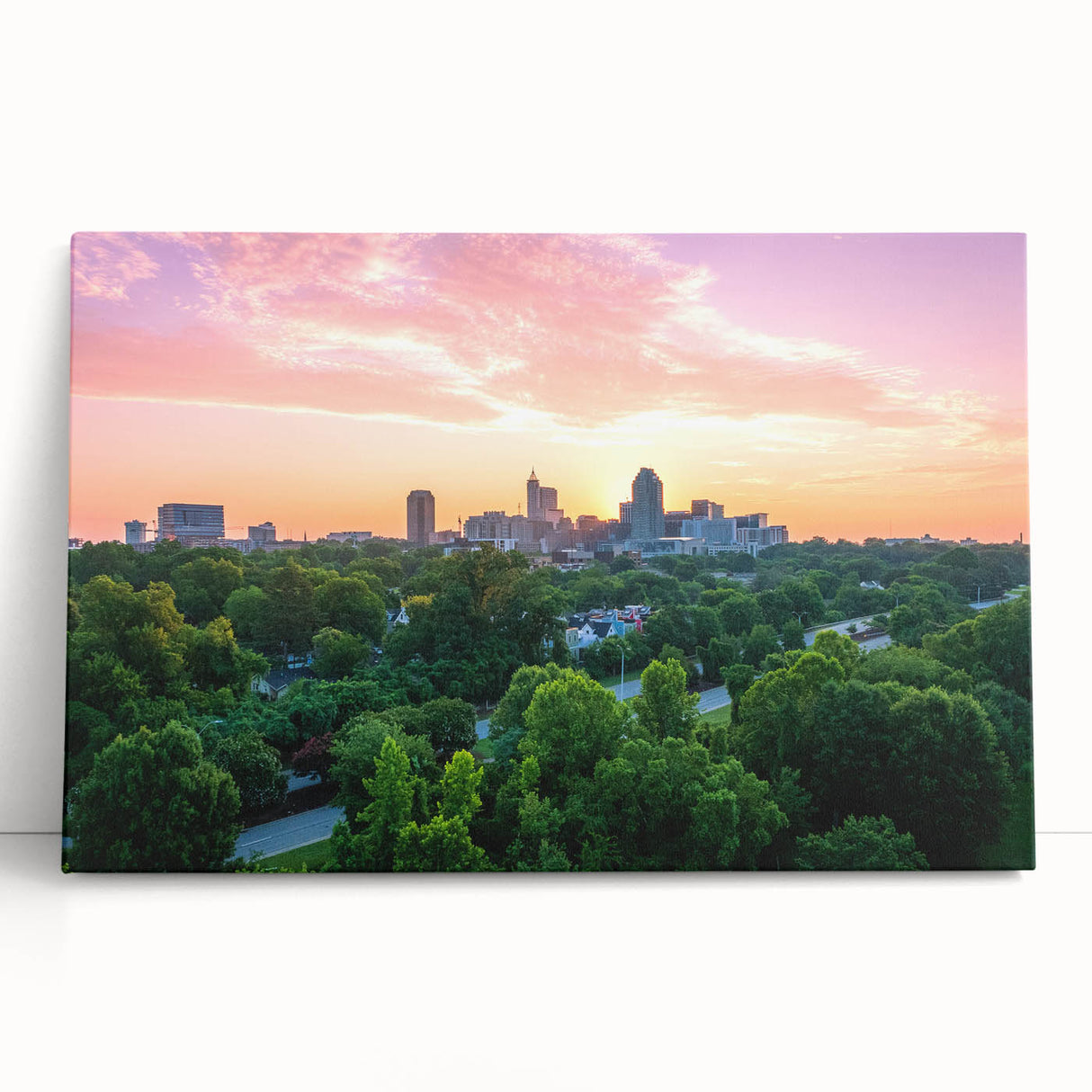 Black and white large canvas print of Raleigh, North Carolina skyline, ideal for kitchen wall art or bedroom ambiance.