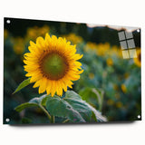 Acrylic print of a large abstract depiction of Pennsylvania scenery in muted earth tones.