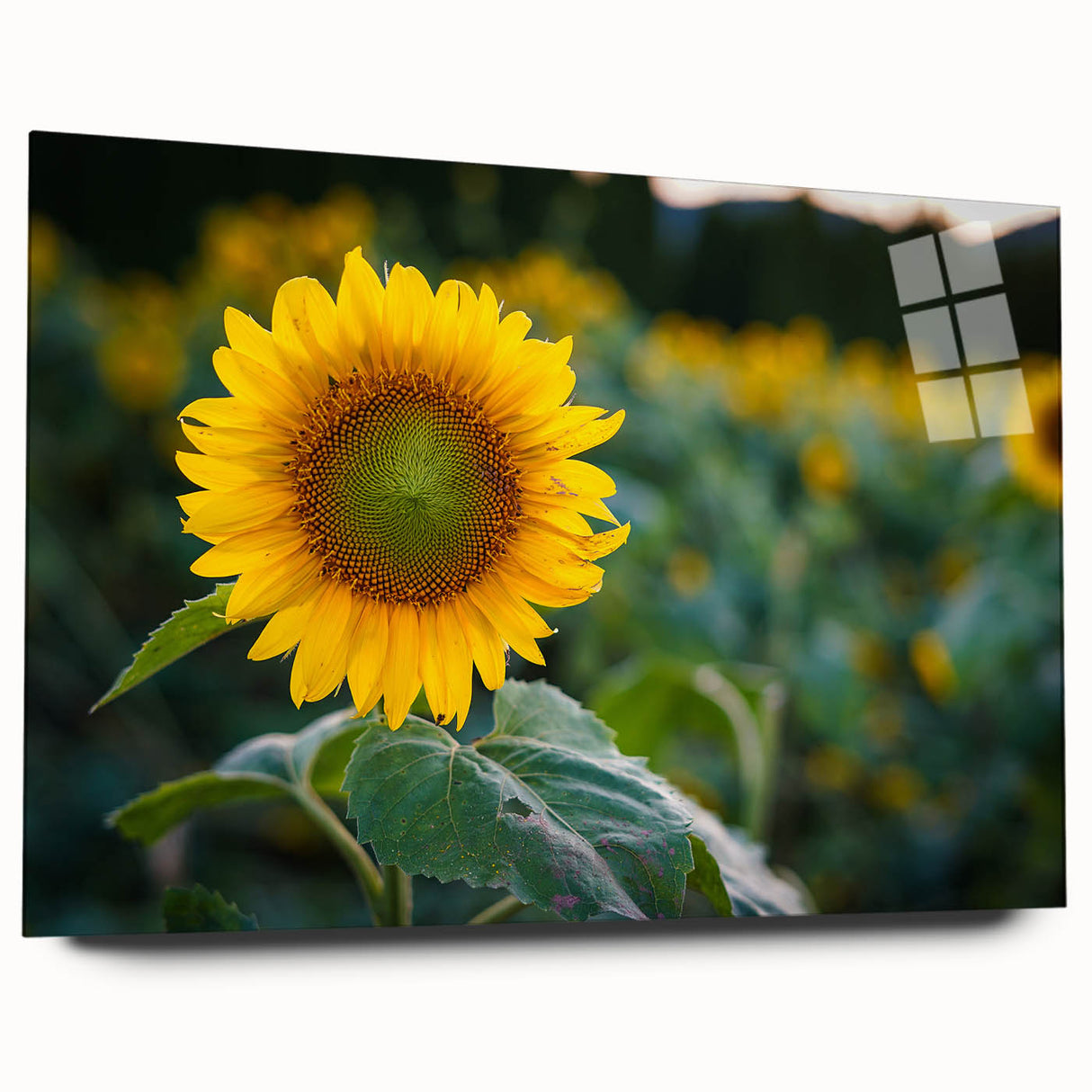 Large abstract wall art of Pennsylvania scenery in muted earth tones on acrylic glass.