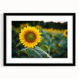 Abstract art print of a colorful Pennsylvania scenery in vibrant hues on a textured, extra large canvas.