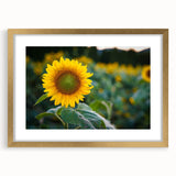 Extra large abstract art print of Pennsylvania scenery in textured style, featuring earthy tones on a framed canvas.