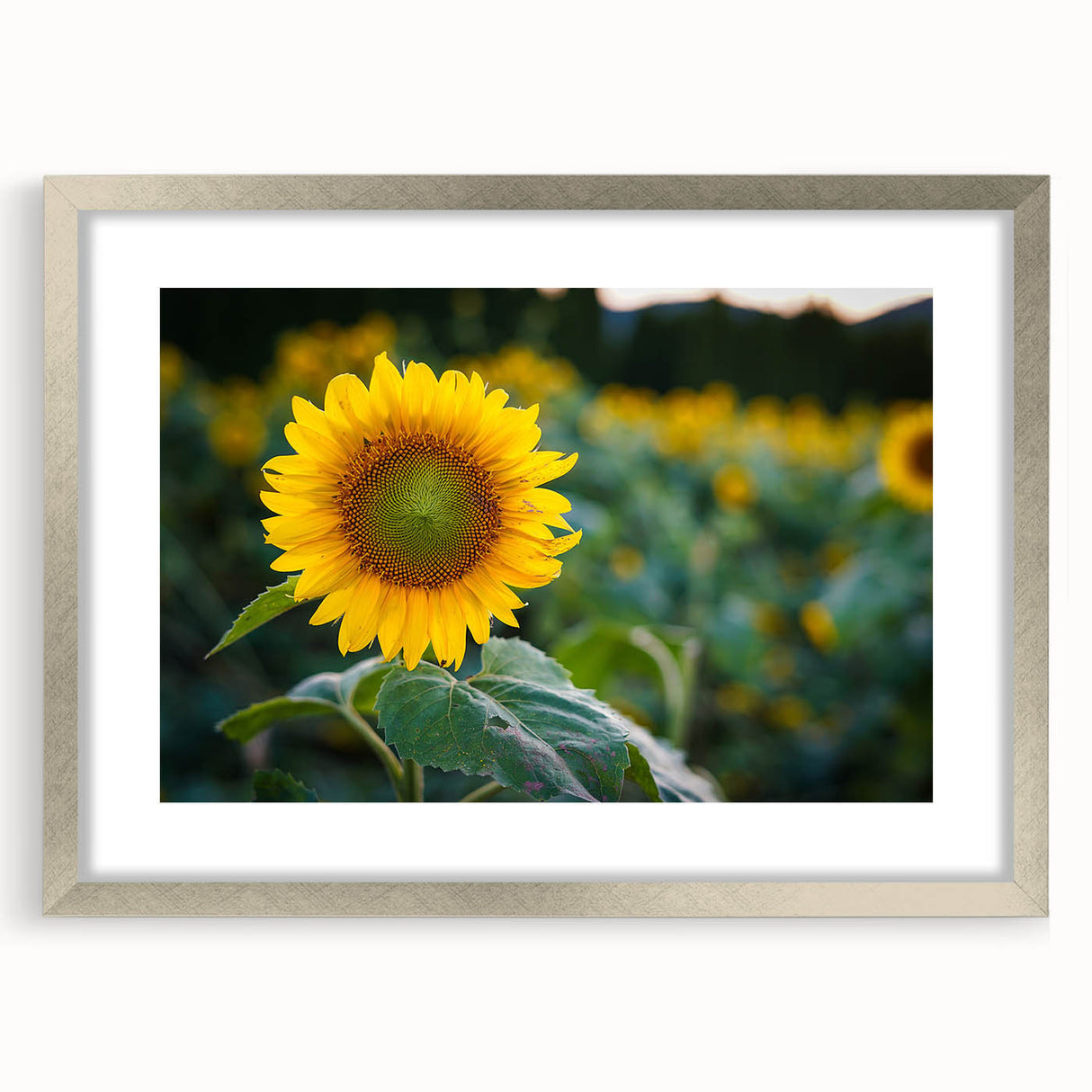 Textured art print of abstract Pennsylvania scenery in silver frame, ideal for bedroom art.