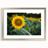 Textured art print of abstract Pennsylvania scenery in silver frame, ideal for bedroom art.