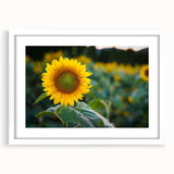 Abstract art print depicting a serene Pennsylvania landscape in muted green and blue tones, framed in white.