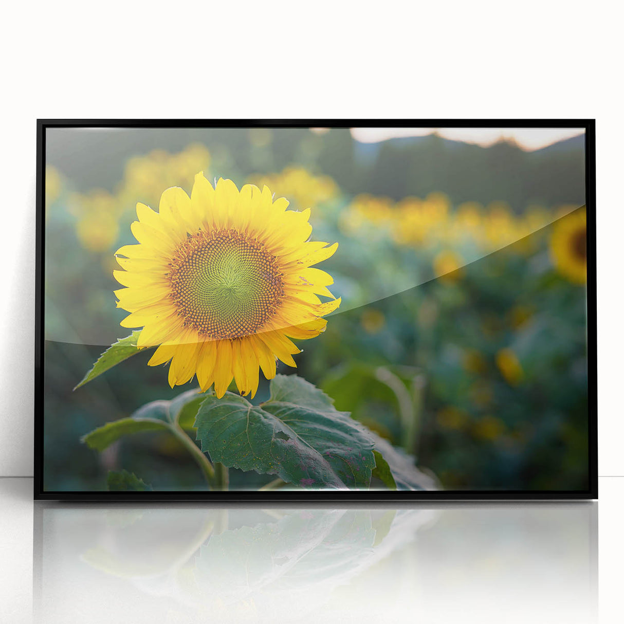 Large abstract wall art depicting a Pennsylvania landscape in muted earth tones on a framed acrylic.