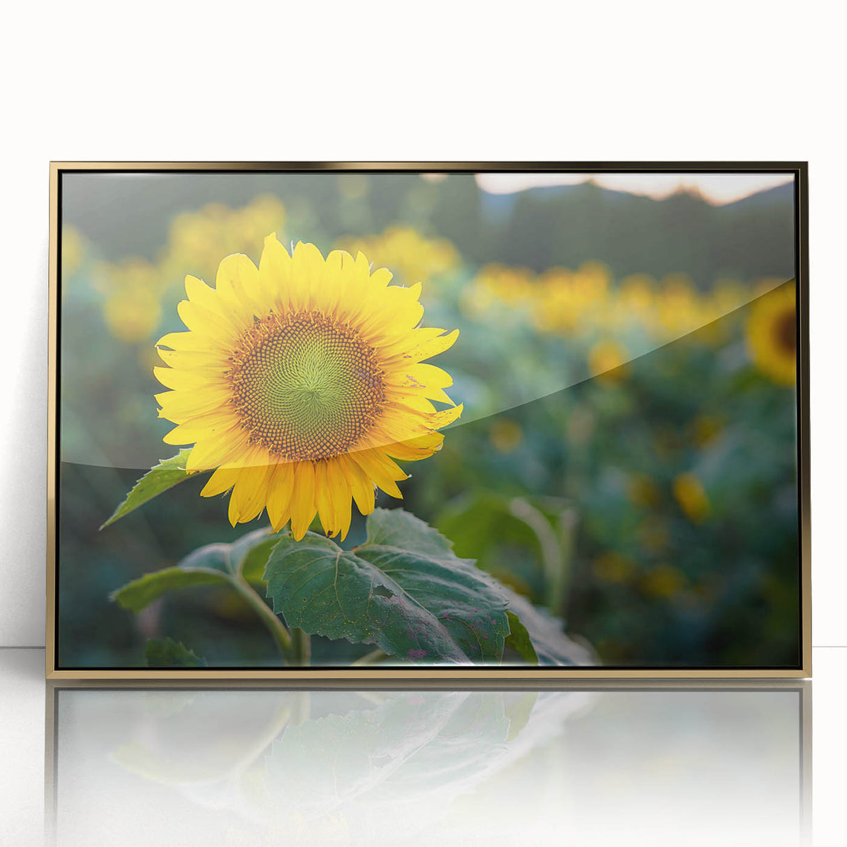 Mid-century modernist acrylic print of a Pennsylvania landscape, framed in gold, ideal for nursery wall art.