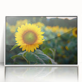 Art Deco style poster of Pennsylvania scenery in muted colors, framed acrylic, ideal for nursery wall art.