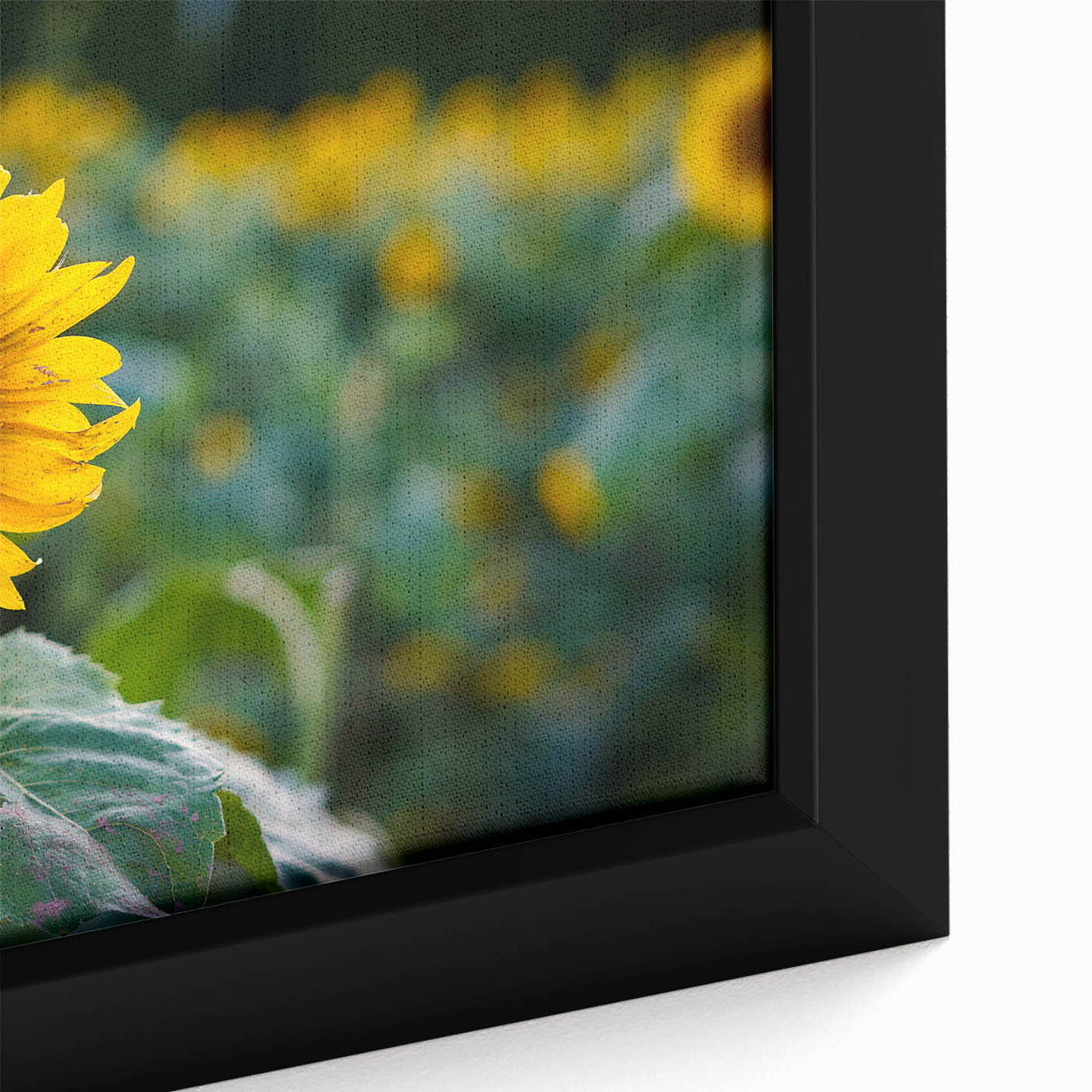 Extra large framed canvas featuring a textured depiction of a Pennsylvania landscape in black with colorful accents.