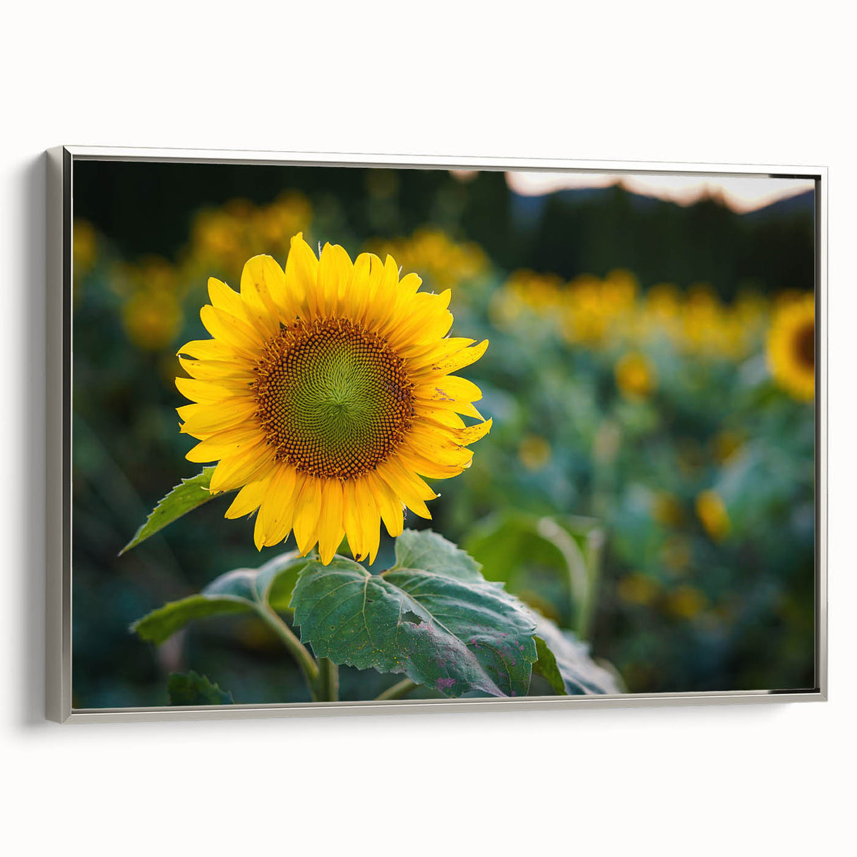 Framed canvas featuring a vintage-style Pennsylvania landscape with colorful art elements.