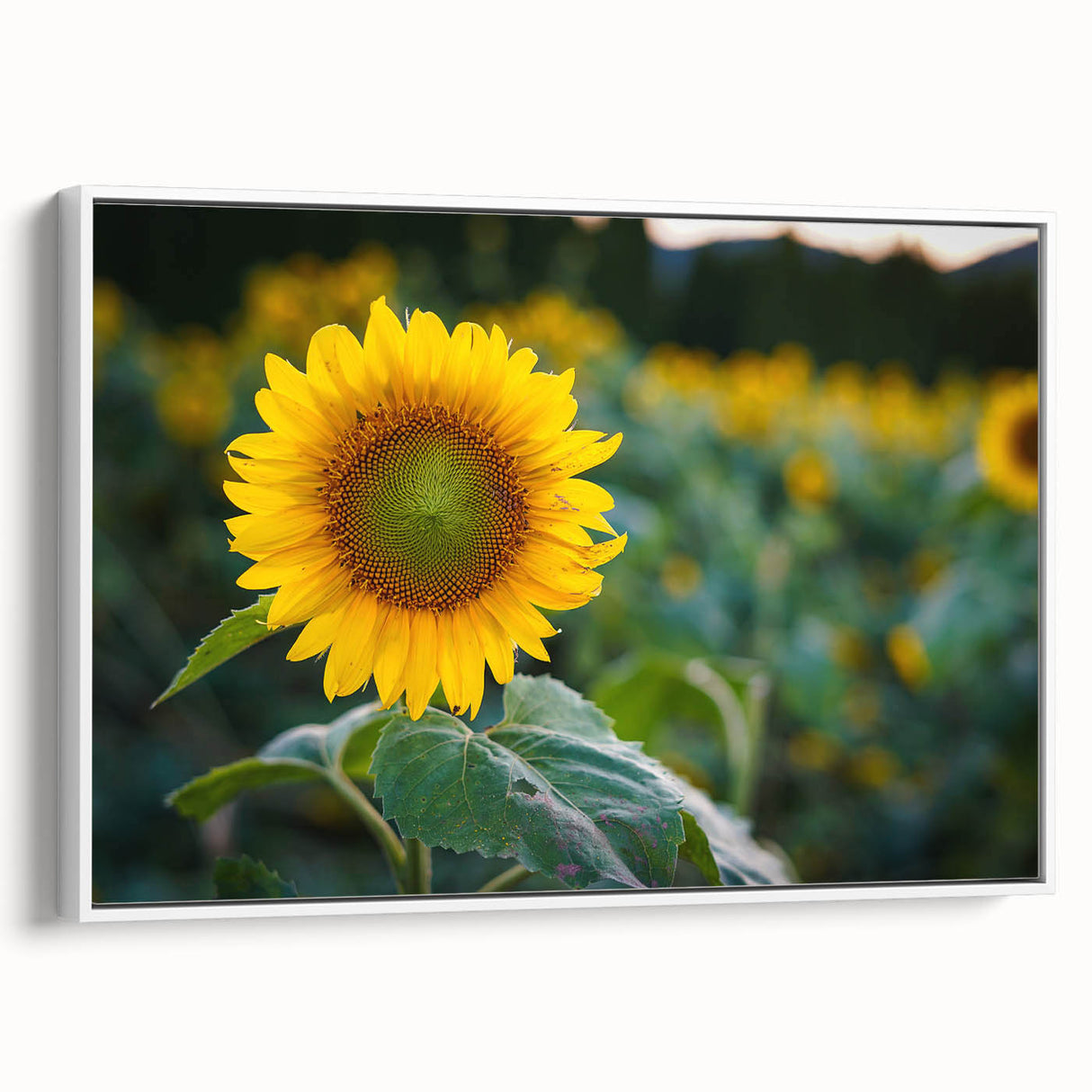 Vintage poster art of Pennsylvania scenery on a framed canvas with colorful art accents, ideal for living room decor.