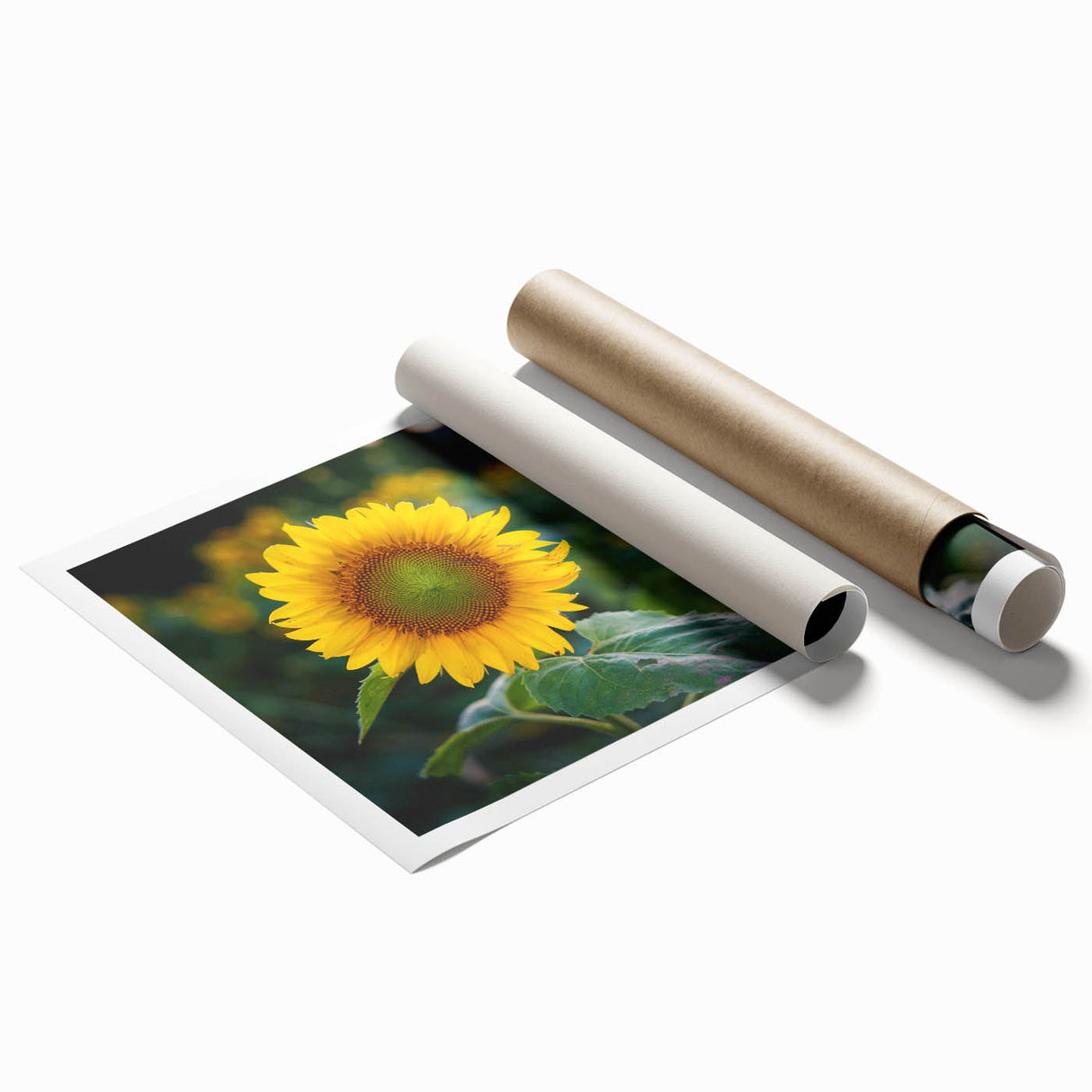 Extra large rolled print featuring a serene Pennsylvania landscape with muted green and blue tones.