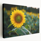 Large art depicting a Pennsylvania landscape on stretched canvas, with muted earth tones, ideal for kitchen wall art.