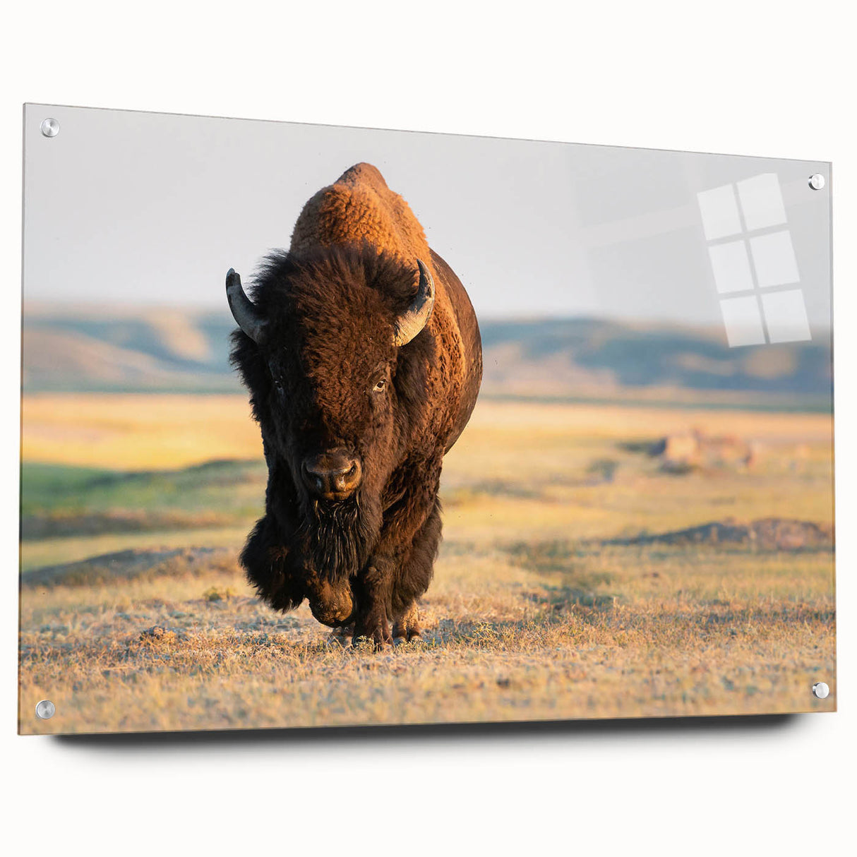 Acrylic print of Yellowstone scenery with vibrant green and blue tones, suited for dining room decor.