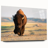 Yellowstone landscape on large acrylic glass, featuring vibrant greens and blues, ideal for bedroom or dining room art.