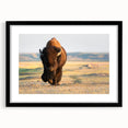 Extra large wall art of abstract Yellowstone scenery in vibrant, colorful textures on a framed black mat.