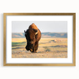 Extra large abstract art print of Yellowstone scenery in muted earth tones on a textured canvas, framed in gold.