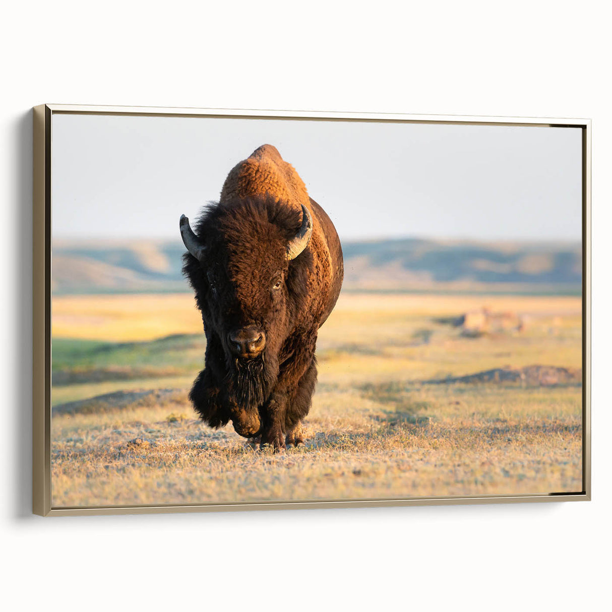 Framed canvas of Yellowstone landscape in vintage style with prominent black and gold hues, ideal for bedroom wall art.