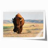 Yellowstone scenic landscape on rolled print, featuring green meadows and distant mountains, suitable for dining room decor.