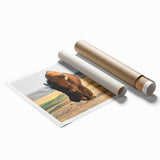 Yellowstone scenic landscape on rolled print, featuring a vivid color palette of blues and greens.