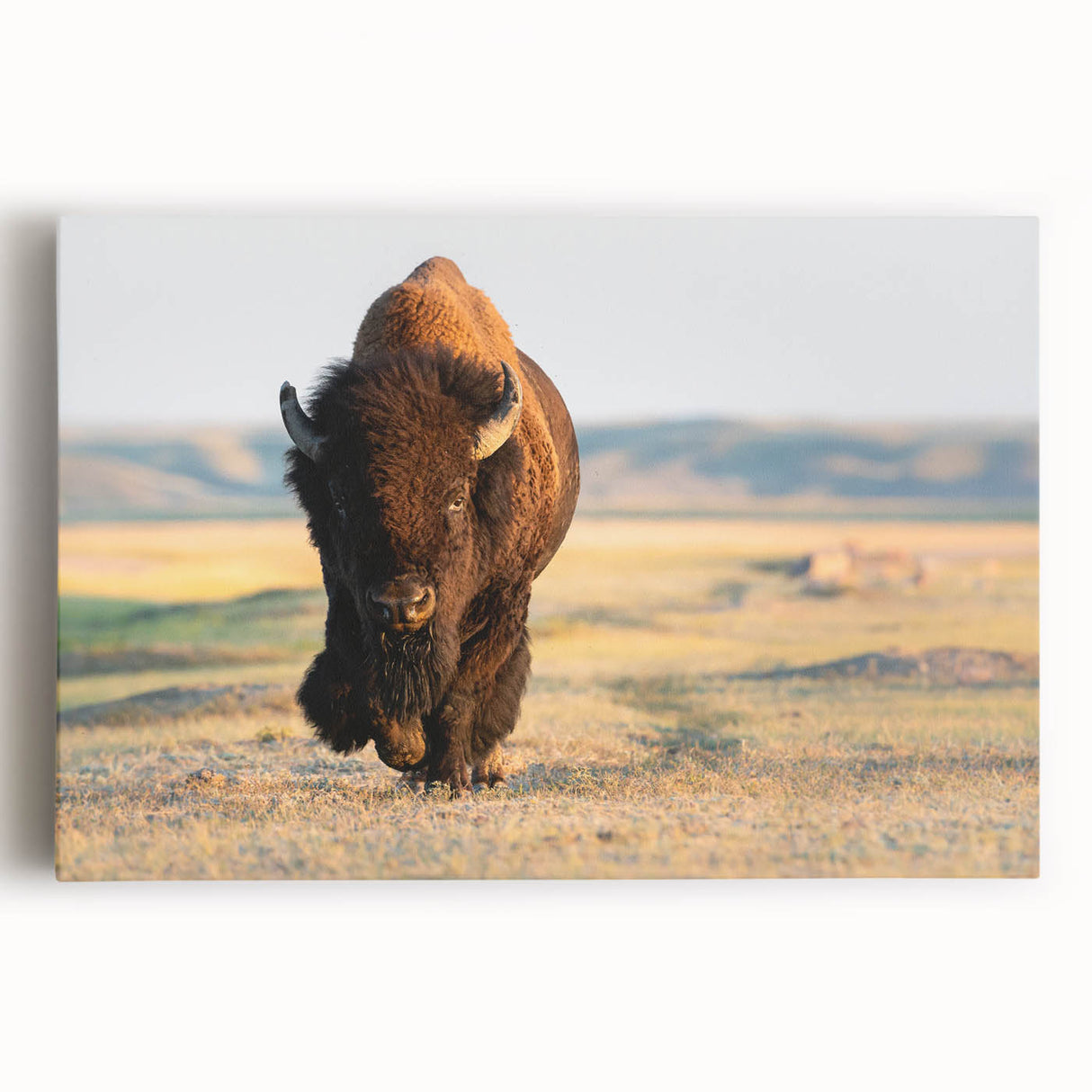 Black and white large art on stretched canvas depicting Yellowstone scenery, suitable for kitchen wall art.