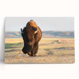 Black and white stretched canvas depicting Yellowstone scenery, ideal for kitchen wall art or bedroom ambiance.