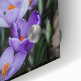 Large abstract wall art on acrylic glass depicting spring-themed colors in a mid-century modernist style.