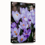 Large abstract wall art depicting spring season in pastel shades on acrylic glass, suitable for bedroom or dining room decor.