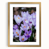 Extra large abstract art print featuring textured spring-themed imagery in vibrant green and gold tones.