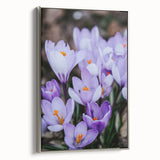 Spring landscape art painting on framed canvas, featuring colorful trees and a silver frame, ideal for living room decor.