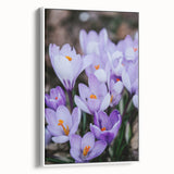Vintage poster art of spring season on extra large framed canvas, with colorful art palette, ideal for living room decor.